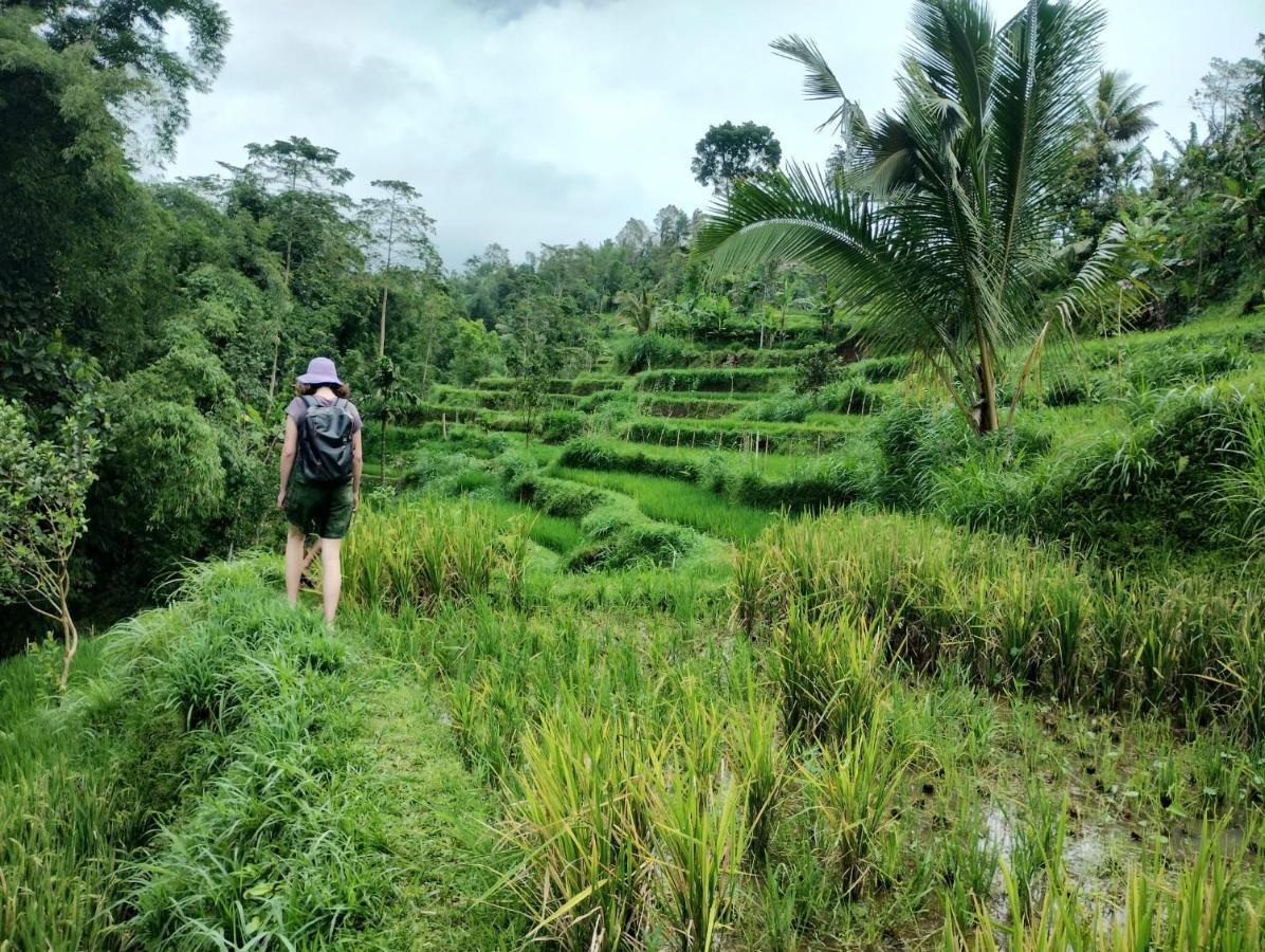 Girang Rinjani Bungalows Tetebatu Extérieur photo