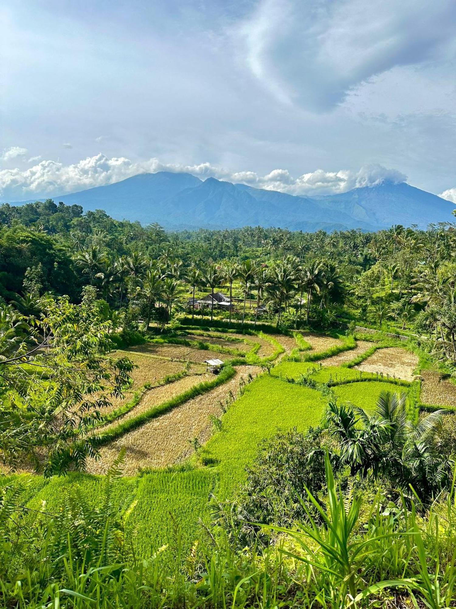 Girang Rinjani Bungalows Tetebatu Extérieur photo