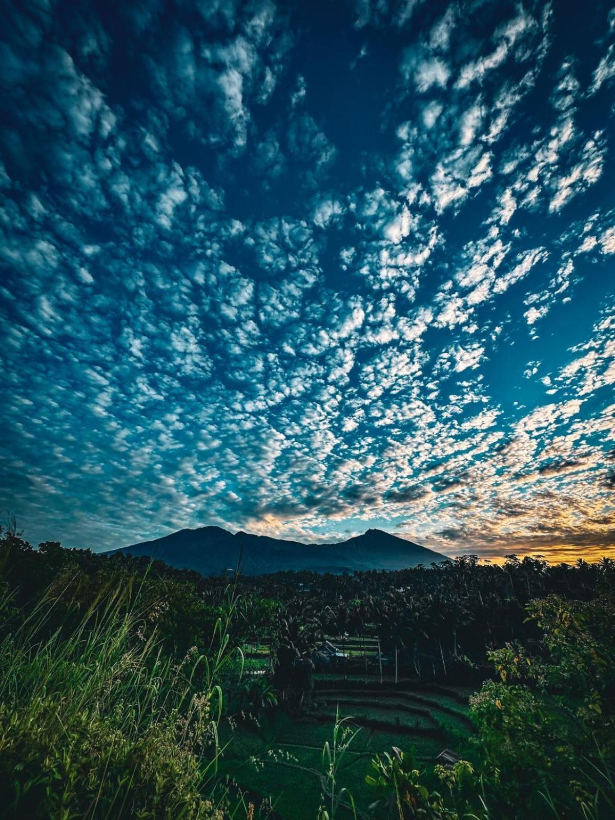 Girang Rinjani Bungalows Tetebatu Extérieur photo