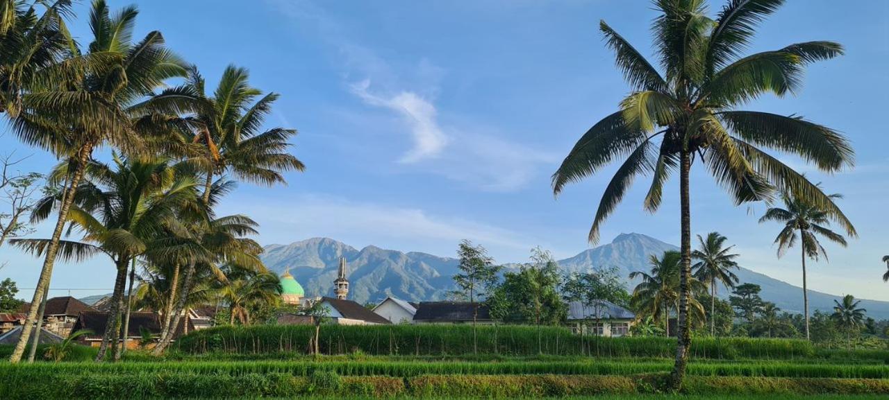 Girang Rinjani Bungalows Tetebatu Extérieur photo