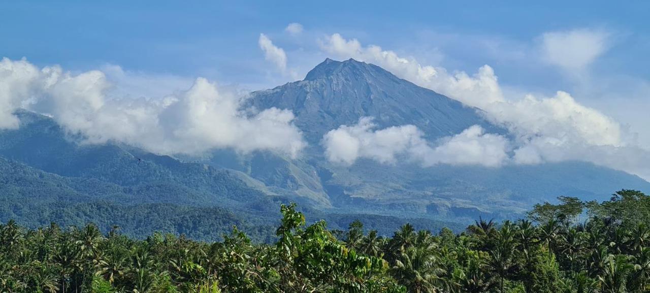 Girang Rinjani Bungalows Tetebatu Extérieur photo