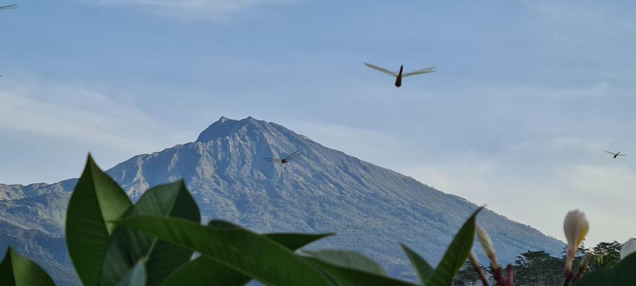 Girang Rinjani Bungalows Tetebatu Extérieur photo